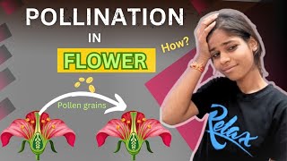 Pollination in Flowers  Reproduction class 10  Reproduction in plants  MRAs [upl. by Jenei]