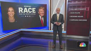 Decision 2024 Race for the White House  NBC New York [upl. by Neeron]