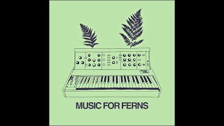 Parker Tichko  Music For Ferns 2024 [upl. by Bergmans]