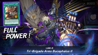 TRIBRIGADE IS BACK And Its Better Than EVER  Zoodiac TriBrigade Deck YuGiOh Master Duel [upl. by Ettenor]