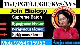 TRICKS TO LEARN HypogynousPerigynous and Epigynous Flower II TGT II PGT II LT II GIC BIOLOGY [upl. by Acus]