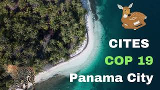 CITES COP 19 Panama City  What is CITES  CITES Key points explained in 1 minute  Cites for UPSC [upl. by Haidabej438]