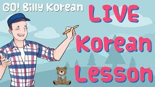 Live Korean Class 📚  Introduction to Passive Verbs 보이다 들리다 etc [upl. by Sayres463]