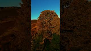 A gorgeous golden sunset at Burbage Edge [upl. by Maeve]