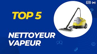 Top 5 Meilleur Nettoyeur Vapeur 2024 [upl. by Melessa474]