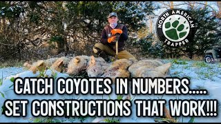 CATCH COYOTES IN NUMBERSSET CONSTRUCTIONS THAT WORK [upl. by Lichter]