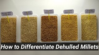 How to Differentiate Dehulled Millets [upl. by Mackler90]