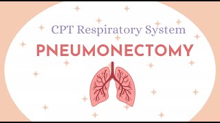 PNEUMONECTOMYCPT RESPIRATORY SYSTEMMEDICAL CODING AND BILLING [upl. by Annelak992]