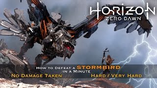 Horizon Zero Dawn  How to Easily Defeat a Stormbird In a Minute  Very Hard  Hard [upl. by Nivla]