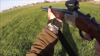 2016 Ultimate Dachshunds Blaser BBF97 Sauer 3000 Drilling and Aimpoint Hunting Compilation [upl. by Aicilaana]