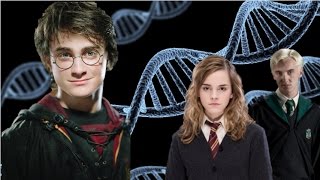 The Magical Blood Lines Explained [upl. by Petronella]