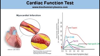 Cardiac Biomarkers Biochemistry  Cardiac Function Test Biochemistry [upl. by Wrand]