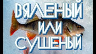 Вяленый окунь Сушеный окунь Свой рецепт Окунь с икрой Весна г Екатеринбург рыбалка… [upl. by Hedvige]