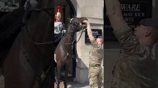 HORSE PLAYS WITH SOLDIER 🐎  Horse Guards Royal guard Kings Guard Horse London 2024 [upl. by Sutniuq214]