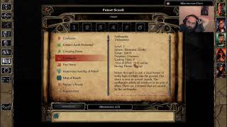 Baldurs Gate Divine Spell Guide Level 7 [upl. by Sievert]