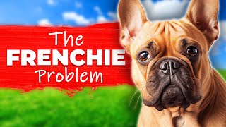 The French Bulldog Problem [upl. by Dew1]