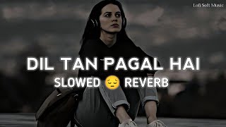 Dil Ta Pagal Hai  Lofi  SlowedReverb  Babbu Maan  Punjabi Sad  Lyrics  Lofi Soft Music [upl. by Aelanna]