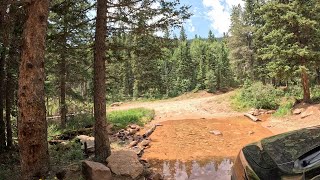 Driving and biking Frosty Park Rd found a Columbine flowertrails mtbexploregopro12mountainbike [upl. by Fink688]