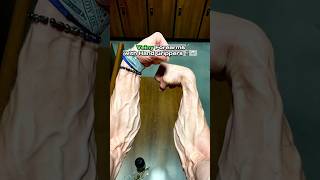 Veiny Forearms with Hand Grippers🔥🤔 veins forearms transformation handgripper [upl. by Dix]