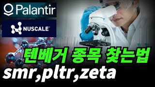 텐베거 종목 텐베거 종목 찿는 방법PLTRSMRZETA How to find Ten Bagger [upl. by Erlinna]