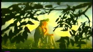 Legends Of Ireland Fairies amp Leprechauns 1998 [upl. by Llertnauq]