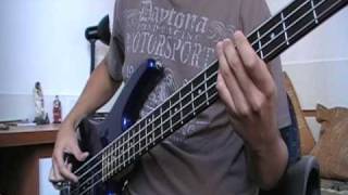 The Stones Roses  She Bangs the Drums bass cover [upl. by Ritchie]