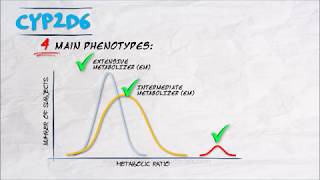 The Pharmacogenetics Series  CYP2D6 [upl. by Nolla]