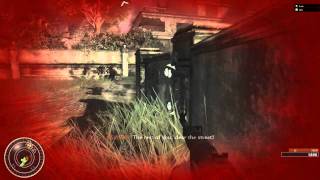 Call of Duty World at War Veteran Coop  GRENADES [upl. by Corwin270]