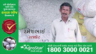 100 Original Cotton Seeds  BUY NOW from AgroStar [upl. by Pega926]