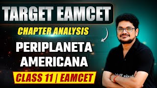 PERIPLANETA AMERICANA  Zoology  Class 11EAMCET [upl. by Renrut]