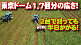 【トラクター】東京ドーム17個の広さを刈ります！8町の広さを半日かけて刈りました！ [upl. by Mountfort644]