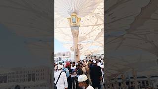 Subhanallah 🌹 Masjid Alharam Madina Sharif 💕 🌹 [upl. by Hannie]