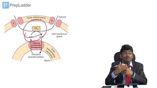 Biological Oxidation and Electron Transport Chain  MCQ discussion [upl. by Slohcin]