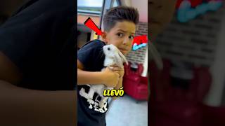 Trajo a su Conejo de compañía 🐇 a la Escuela 🏫 Pero lo que pasó después te sorprenderá 😱 [upl. by Karlyn]