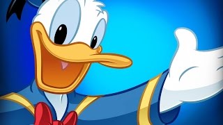 DONALD DUCK 3 HOURS Cartoon Compilation  BEST OF HD [upl. by Kreda435]