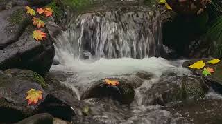 Autumn Waterfall with colorful leaves Two hours No loop [upl. by Atteinotna381]