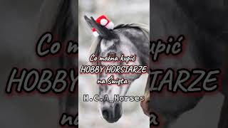 Co można kupić hobby horsiarze na Gwiazdkę 💫🎄☃️❄️🎅 hobbyhorsing hh fypシ゚ hobbyhorse viral kht [upl. by Mihe]