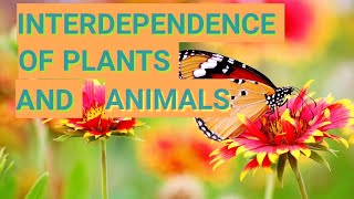 FORESTOUR LIFE LINE CLASS 7 INTERDEPENDENCE OF PLANTS AND ANIMALS [upl. by Llaccm408]