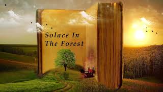 Cole Slaw Shaw  Solace In The Forest Original Song [upl. by Aicemak]