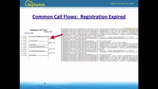 SkySwitch SIP Ladder Graph Webinar1 [upl. by Ramej543]