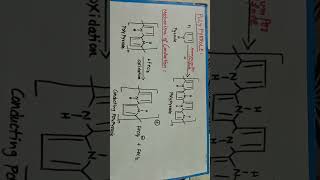 POLYPYRROLE [upl. by Hanna]