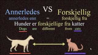 Annerledes VS Forskjellig  Norwegian Language Bokmål [upl. by Burgess]