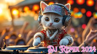 Dj Remix 2024 [upl. by Anisamoht]