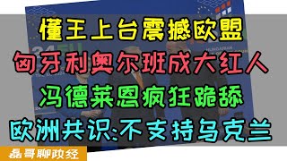 懂王上台欧盟崩溃！匈牙利奥尔班成大红人，冯德莱恩急忙跪舔！泽连斯基崩溃！欧洲峰会达成共识：不再寻求支持乌克兰 [upl. by Enimajneb]