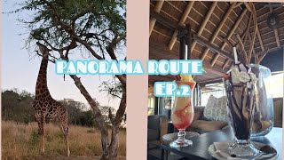 Panorama Route Ep2 🦒 [upl. by Shirk16]