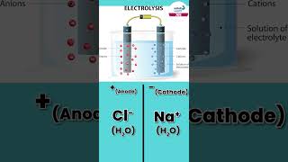 Electrolysis of Molten NaClAqua  Shorts  JEE 2024  Infinity Learn JEE [upl. by Gittle]