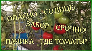 СОСЕДИ ПОСТАВИЛИ ЗАБОРЗАБЫТЫЙ УГОЛОКУРАГАНОПАСНОЕ СОЛНЦЕВЕЧЕРНИЙ ПОЛИВ [upl. by Areivax213]