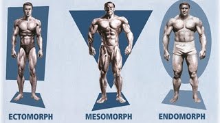 Ectomorph Endomorph Mesomorph How To Train amp Eat For YOUR Body Type [upl. by Berhley74]