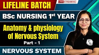 Anatomy amp Physiology of Nervous System  Part  1  BSc Nursing 1st Year  Lifeline Batch [upl. by Airamas]