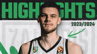 Deividas Sirvydis  20232024 season highlights [upl. by Bonnell893]